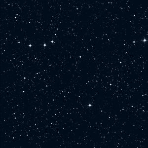 Meet your Posher, Noah